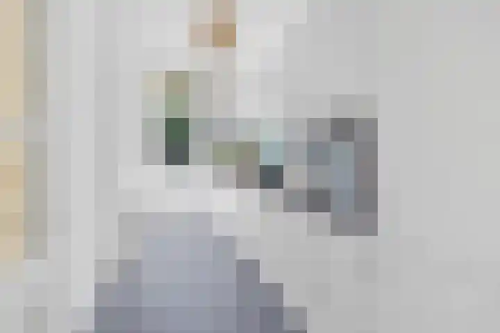 Vondellaan 2 Rijswijk thumbnail 15