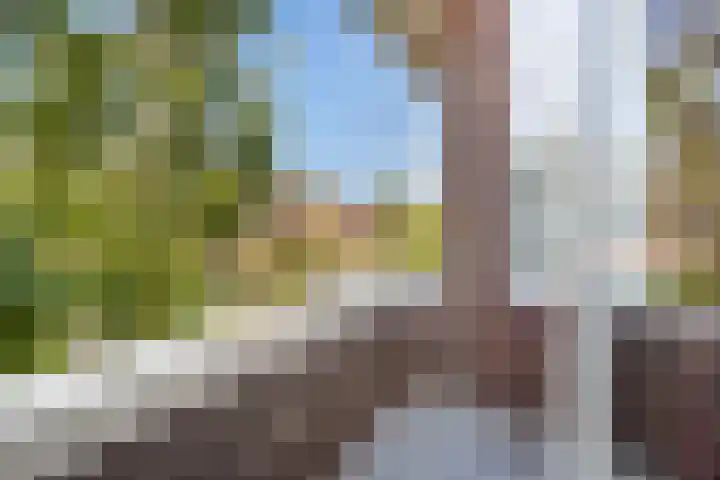 Vondellaan 2 Rijswijk thumbnail 19
