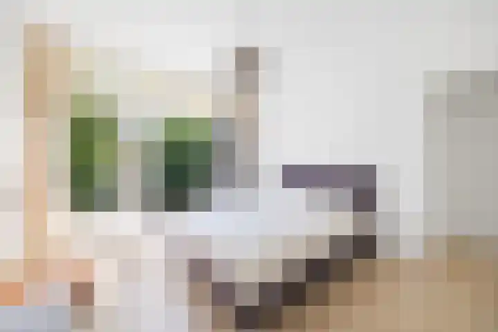 Vondellaan 2 Rijswijk thumbnail 23