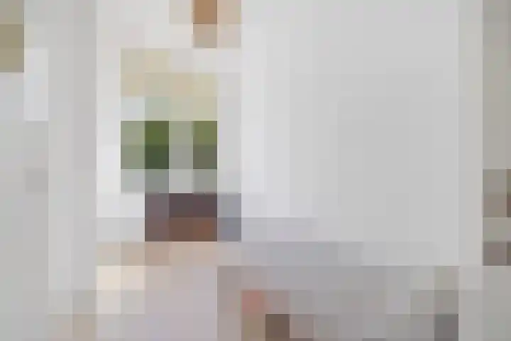 Vondellaan 2 Rijswijk thumbnail 28