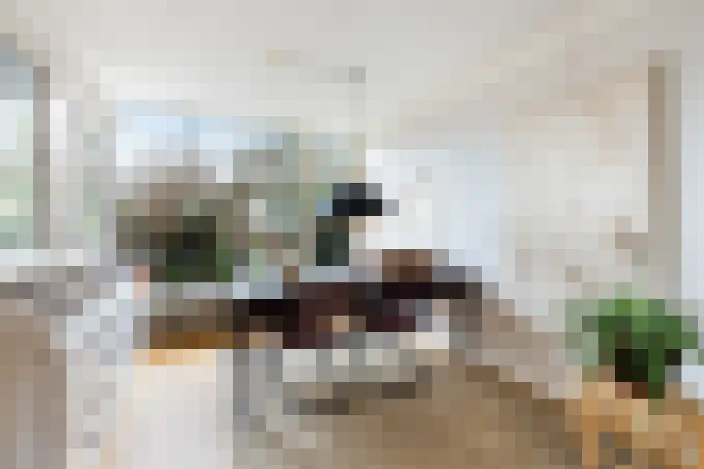 Vondellaan 20 Capelle aan den IJssel thumbnail 18