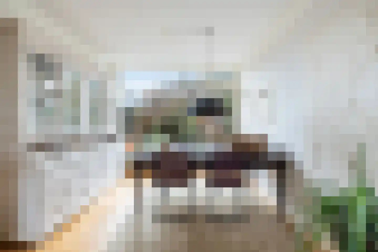 Vondellaan 20 Capelle aan den IJssel thumbnail 19