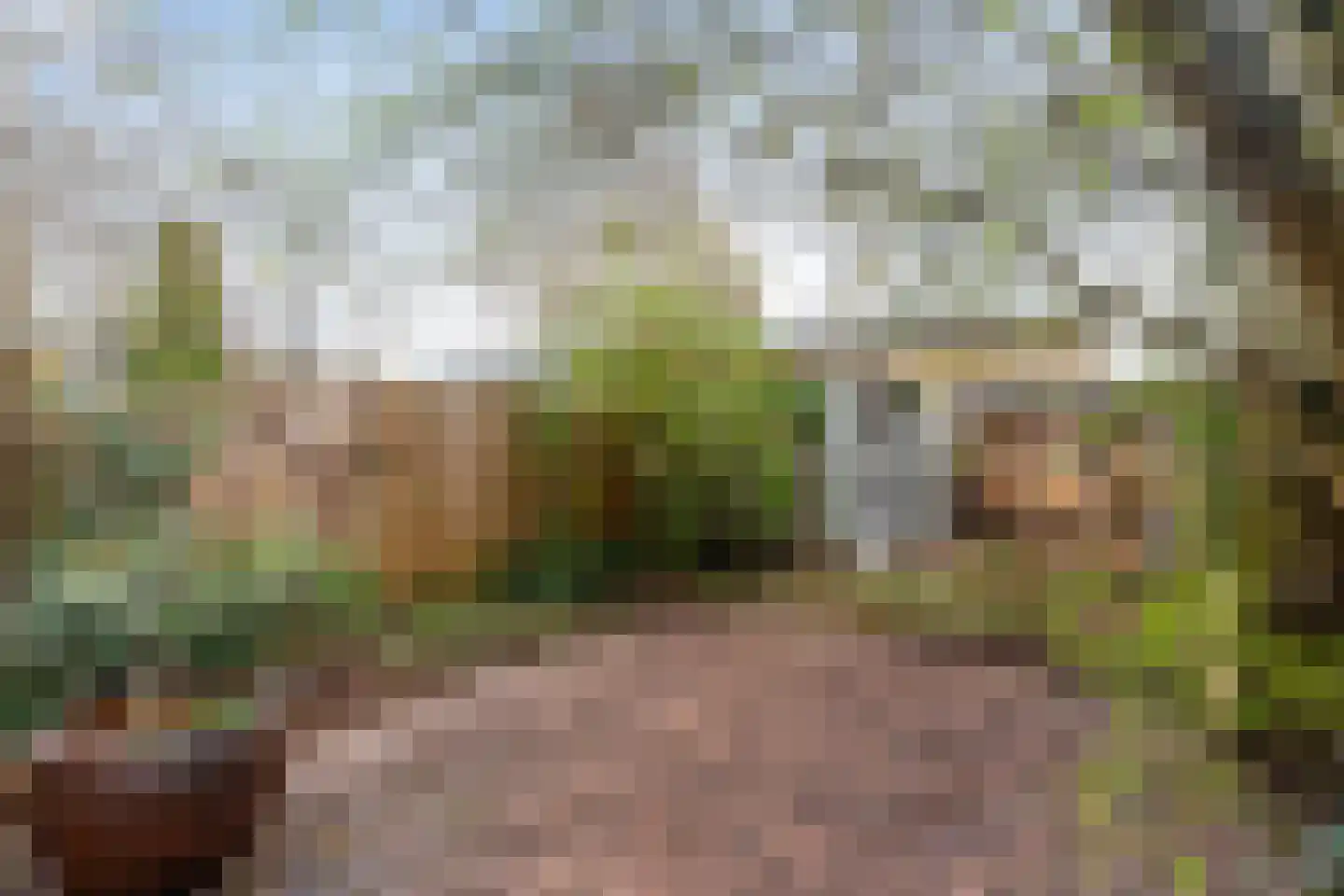 Vondellaan 20 Capelle aan den IJssel thumbnail 28