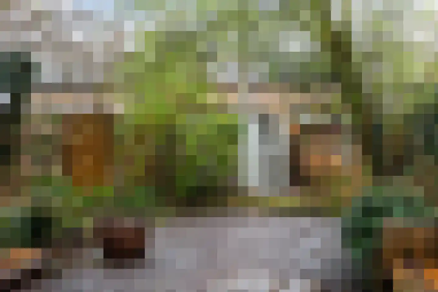 Vondellaan 20 Capelle aan den IJssel thumbnail 29