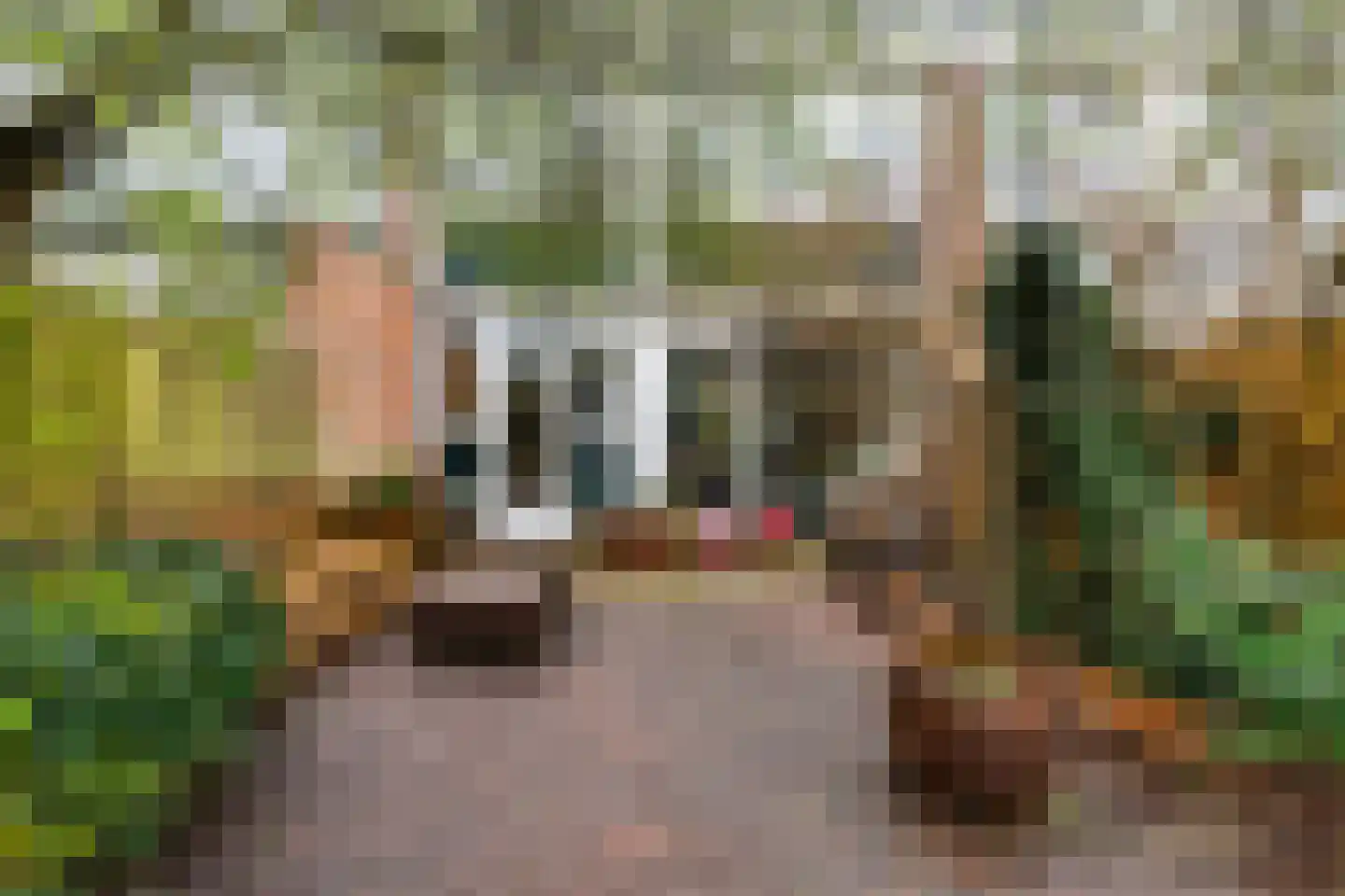 Vondellaan 20 Capelle aan den IJssel thumbnail 32