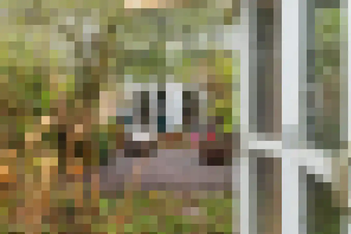 Vondellaan 20 Capelle aan den IJssel thumbnail 33