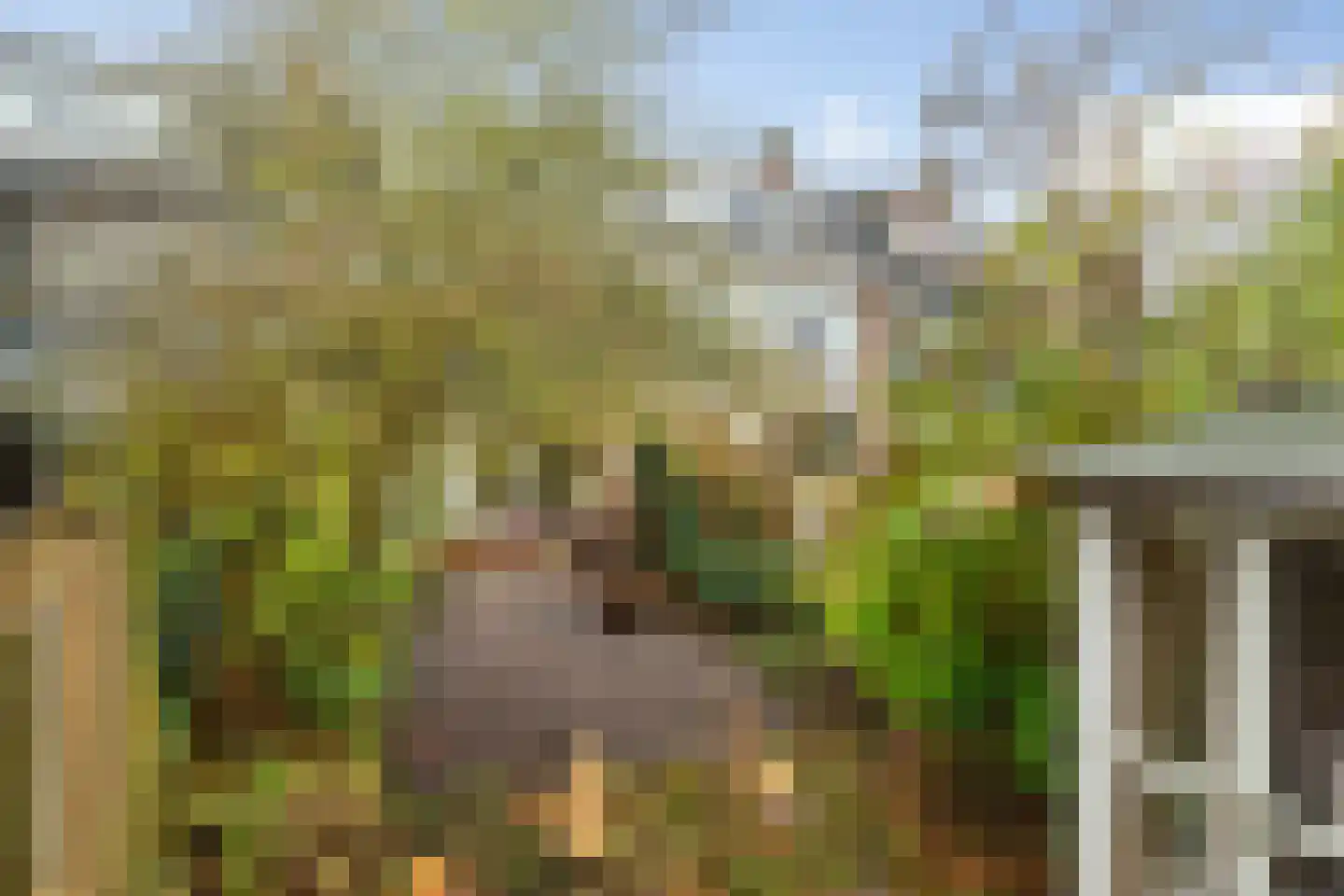 Vondellaan 20 Capelle aan den IJssel thumbnail 34