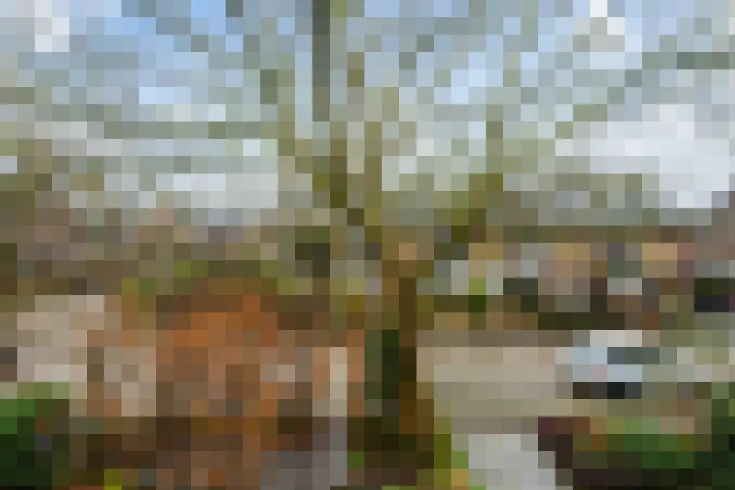 Vondellaan 20 Capelle aan den IJssel thumbnail 48