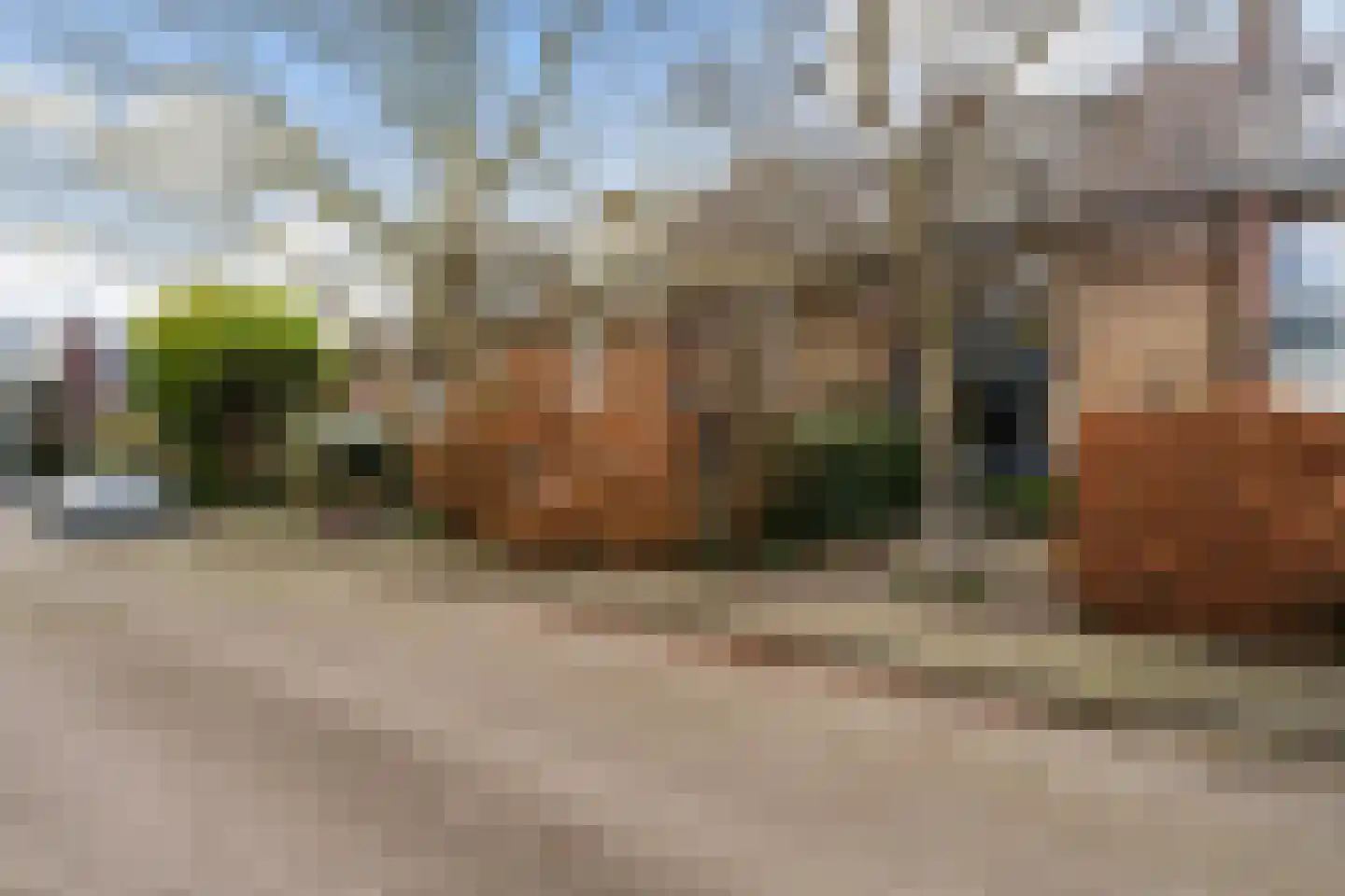 Vondellaan 20 Capelle aan den IJssel thumbnail 64