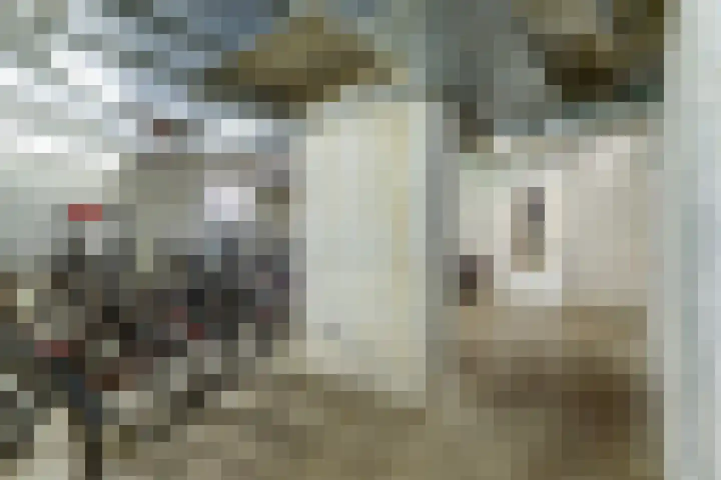 Vondellaan 208 Utrecht thumbnail 30