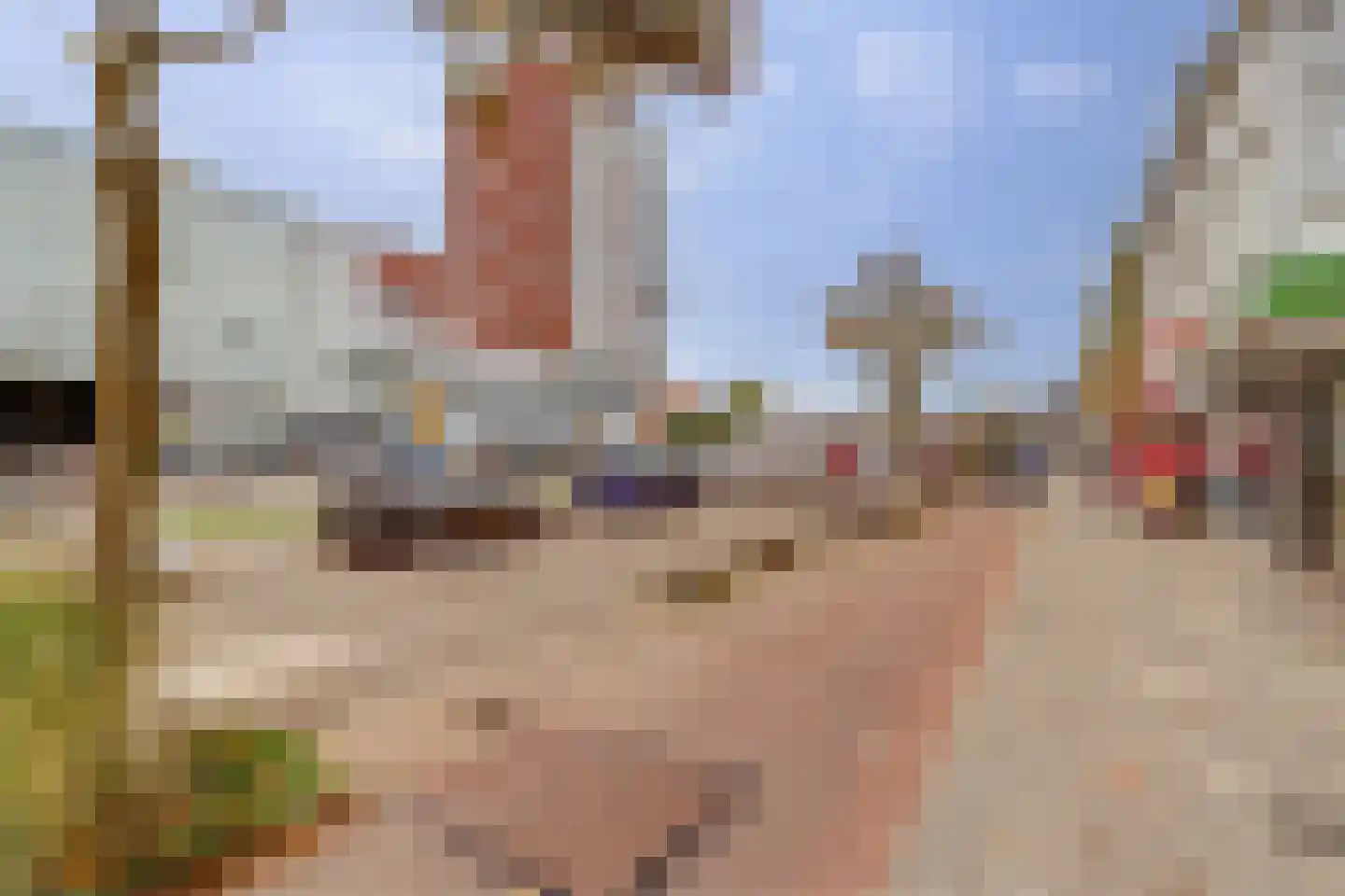 Vondellaan 208 Utrecht thumbnail 34