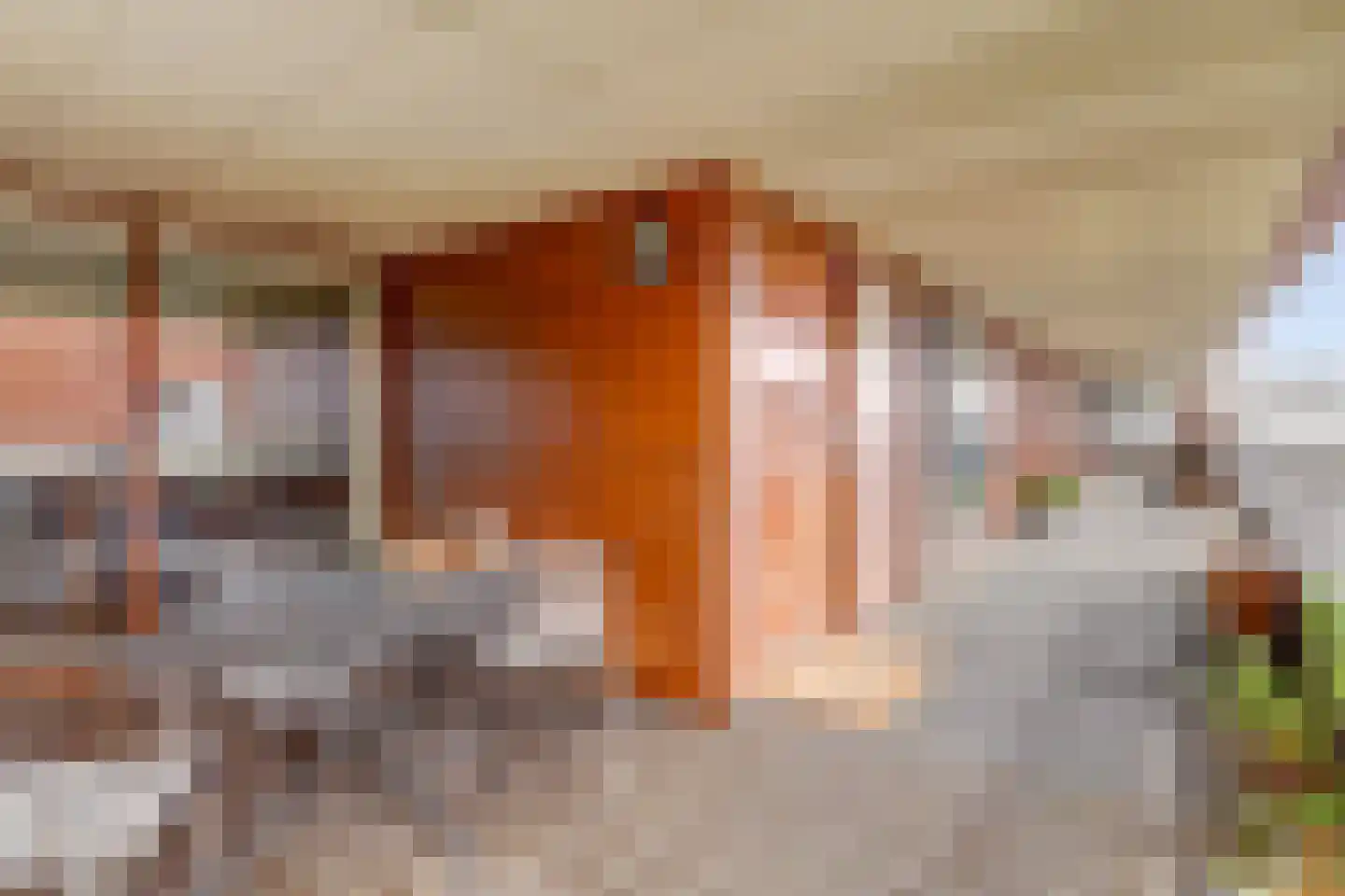 Vondellaan 208 Utrecht thumbnail 6