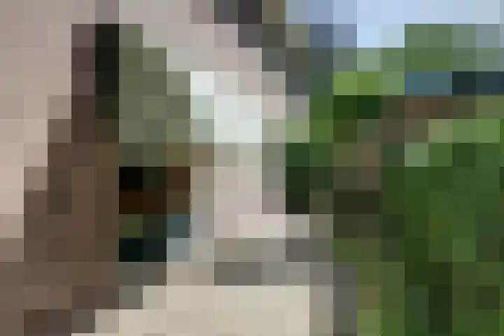 Vondellaan 21 Baarn thumbnail 40