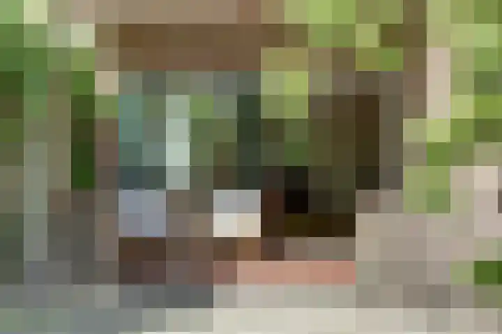 Vondellaan 21 Baarn thumbnail 5