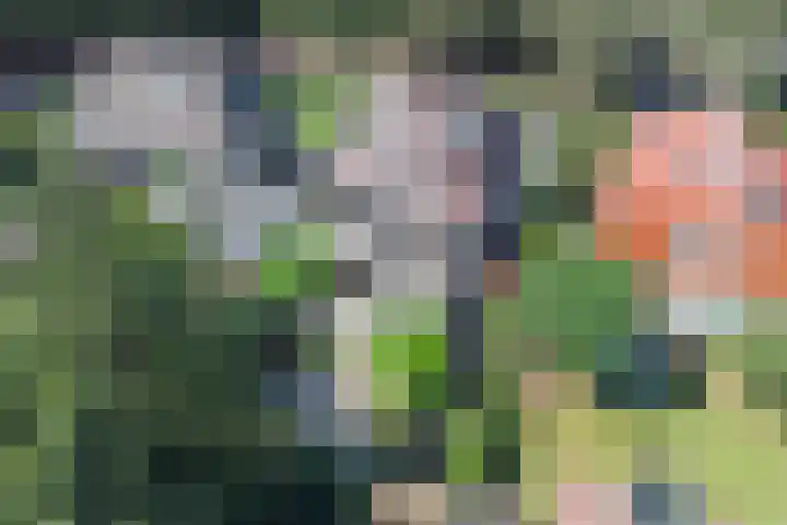 Vondellaan 21 Baarn thumbnail 6