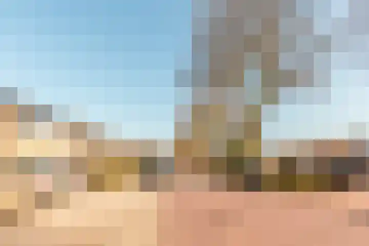 Vondellaan 21 Harderwijk thumbnail 37