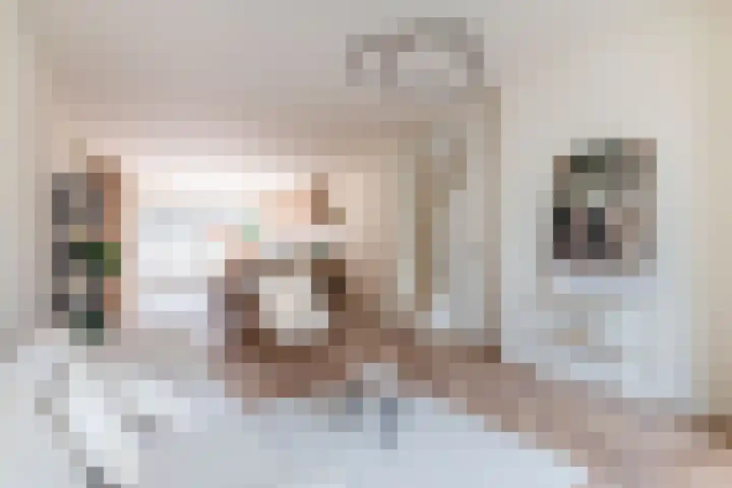 Vondellaan 21 Utrecht thumbnail 12