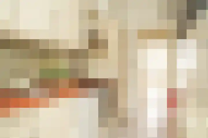 Vondellaan 21 Utrecht thumbnail 18