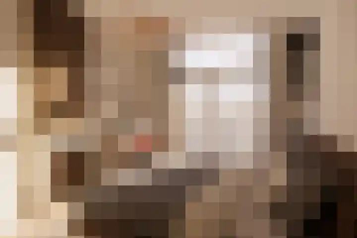 Vondellaan 21 Utrecht thumbnail 27