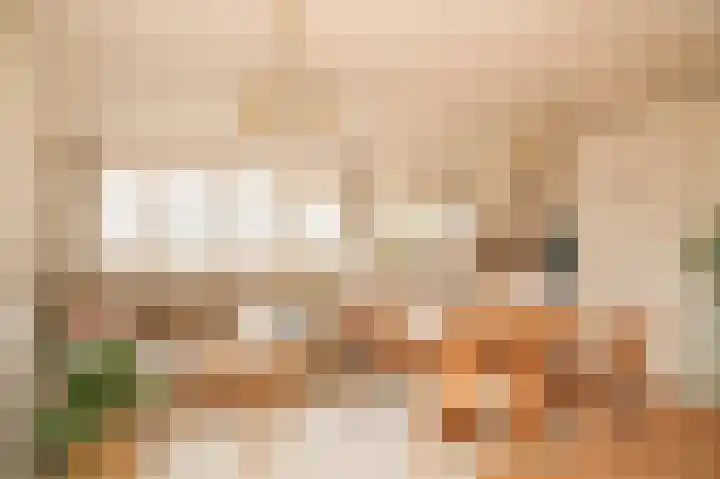 Vondellaan 21 Utrecht thumbnail 4