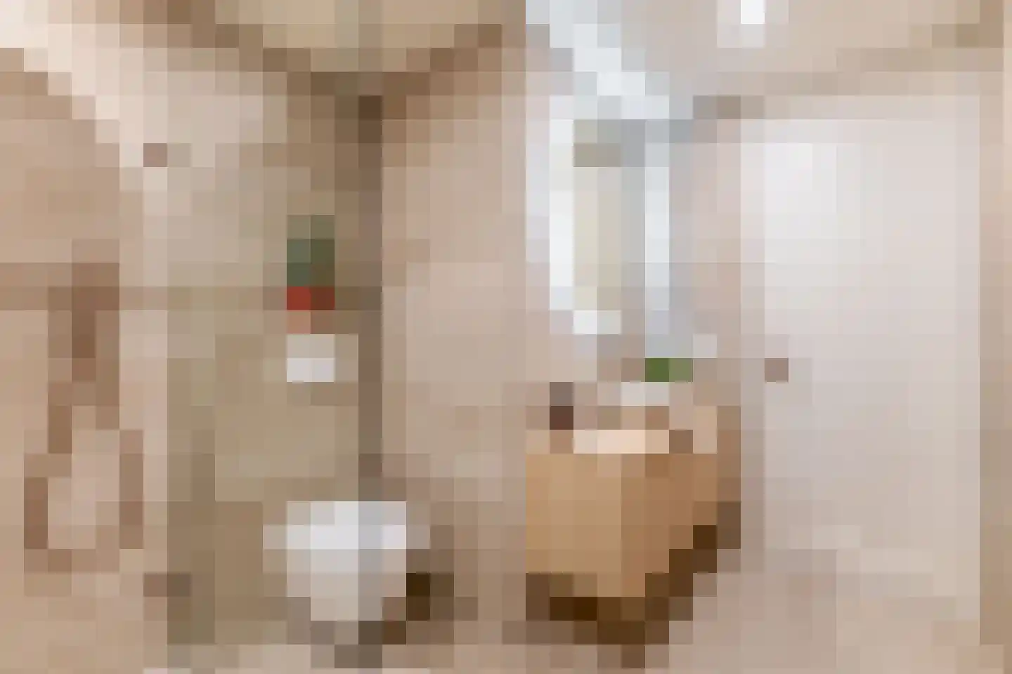 Vondellaan 21 Utrecht thumbnail 45