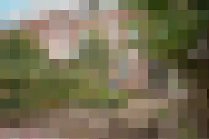 Vondellaan 21 Utrecht thumbnail 47