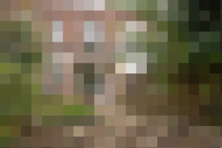 Vondellaan 21 Utrecht thumbnail 6