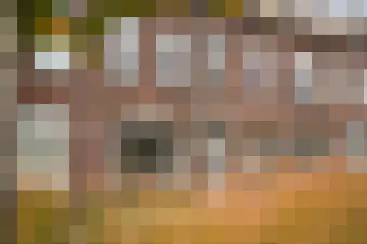 Vondellaan 21 Utrecht thumbnail 8