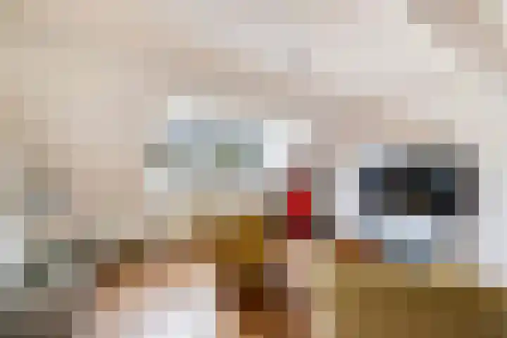 Vondellaan 22 Soest thumbnail 22