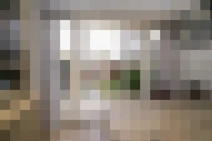 Vondellaan 23 Alblasserdam thumbnail 12
