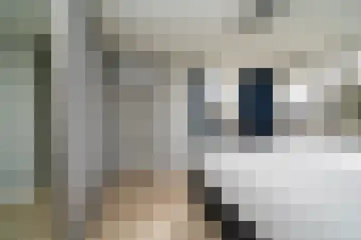 Vondellaan 23 Alblasserdam thumbnail 21