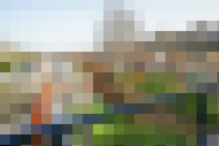 Vondellaan 23 Alblasserdam thumbnail 28