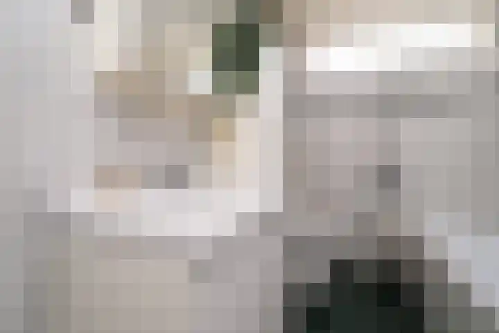 Vondellaan 23 Alblasserdam thumbnail 30