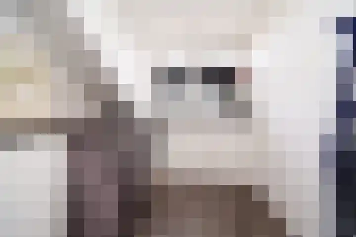 Vondellaan 23 Alblasserdam thumbnail 36