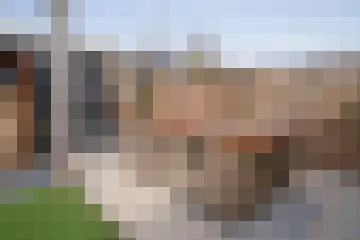 Vondellaan 23 Alblasserdam thumbnail 40