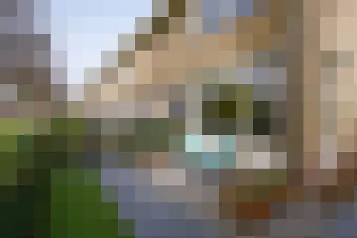 Vondellaan 23 Alblasserdam thumbnail 44