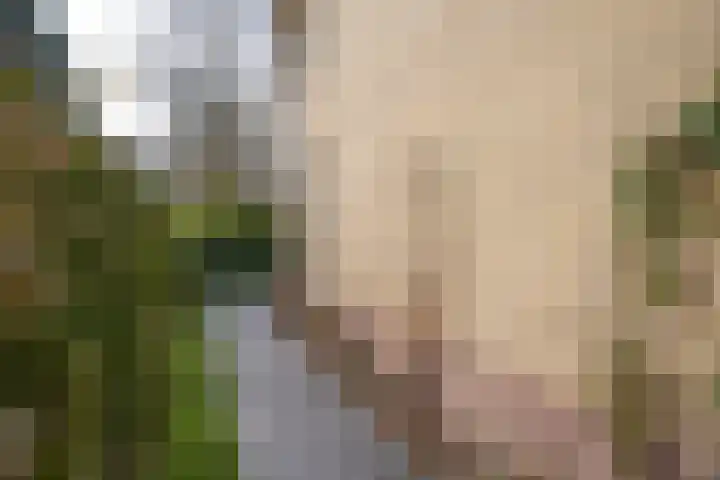 Vondellaan 23 Alblasserdam thumbnail 45