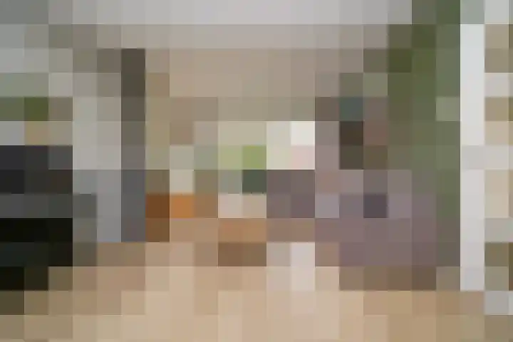 Vondellaan 23 Alblasserdam thumbnail 5