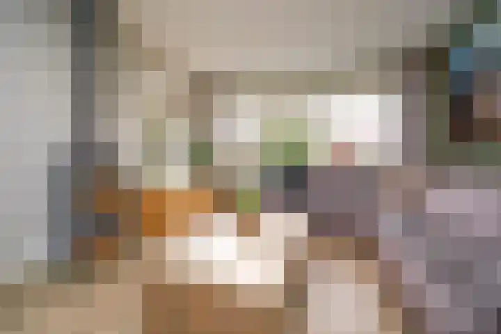 Vondellaan 23 Alblasserdam thumbnail 9