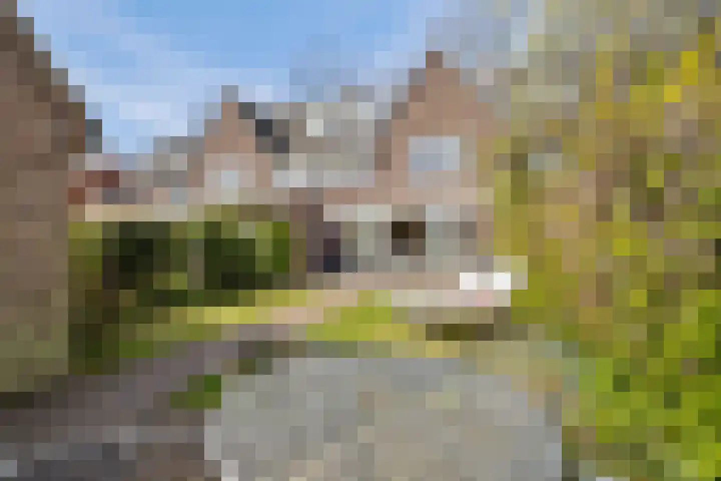 Vondellaan 23 Bussum thumbnail 20