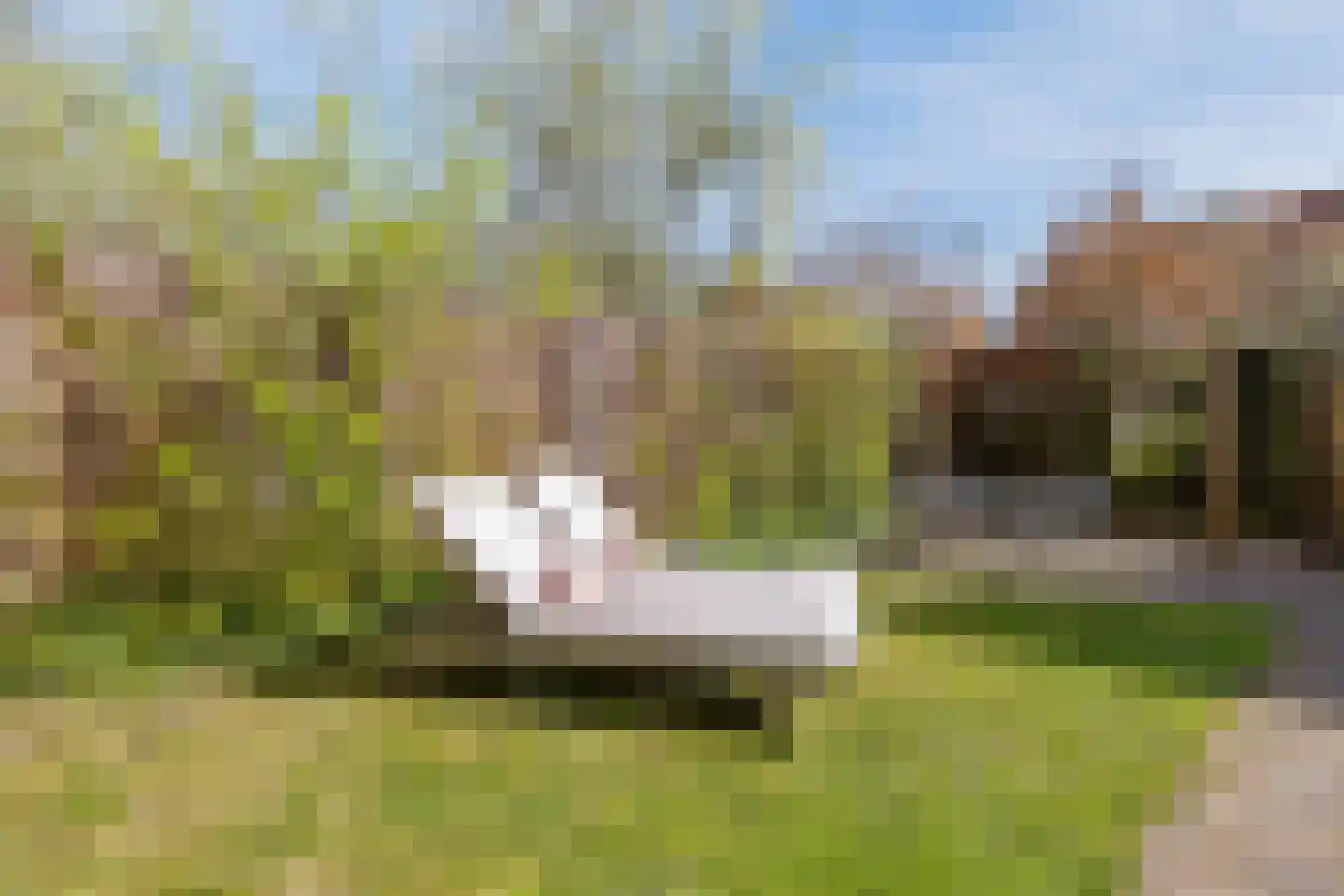 Vondellaan 23 Bussum thumbnail 23