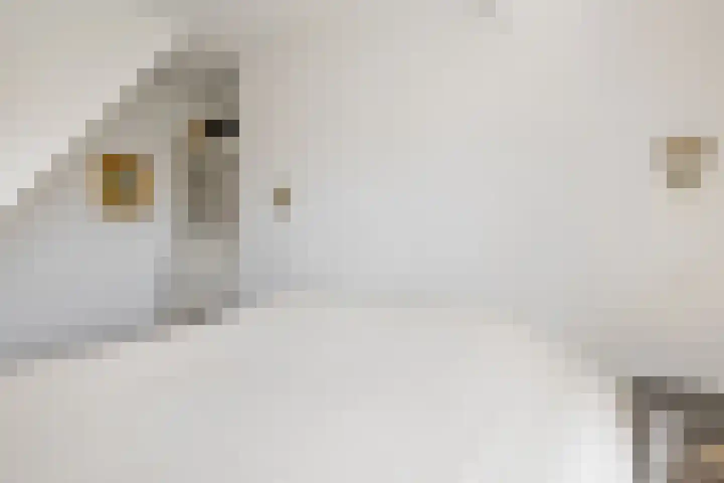 Vondellaan 23 Bussum thumbnail 34