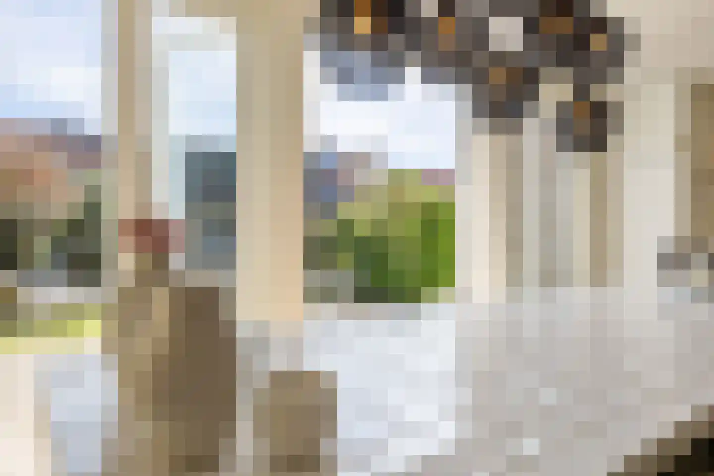 Vondellaan 23 Bussum thumbnail 8