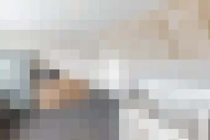 Vondellaan 23 Oosterhout thumbnail 19