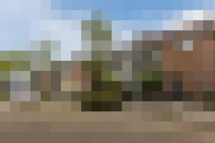 Vondellaan 23 Oosterhout thumbnail 24
