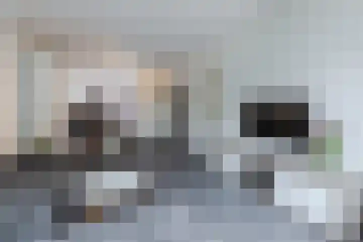 Vondellaan 23 Oosterhout thumbnail 4