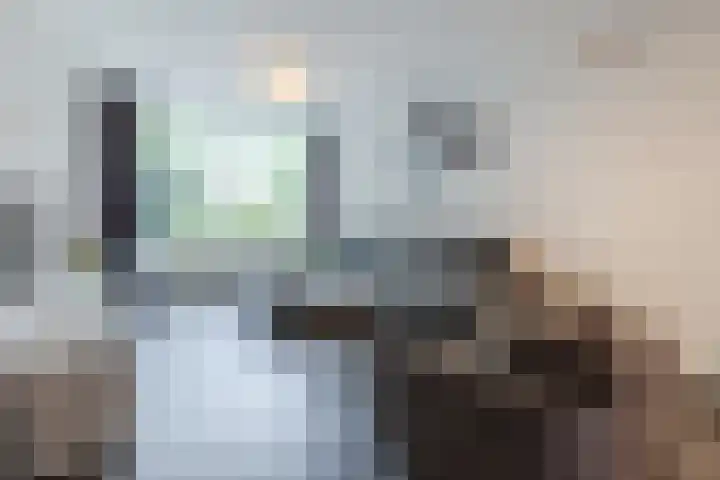 Vondellaan 23 Oosterhout thumbnail 5