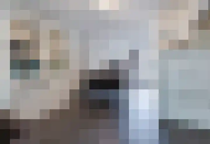 Vondellaan 23 Oosterhout thumbnail 7
