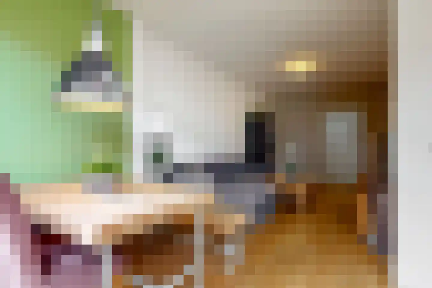 Vondellaan 23 Utrecht thumbnail 11