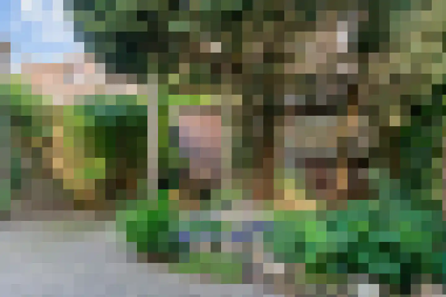 Vondellaan 23 Utrecht thumbnail 23